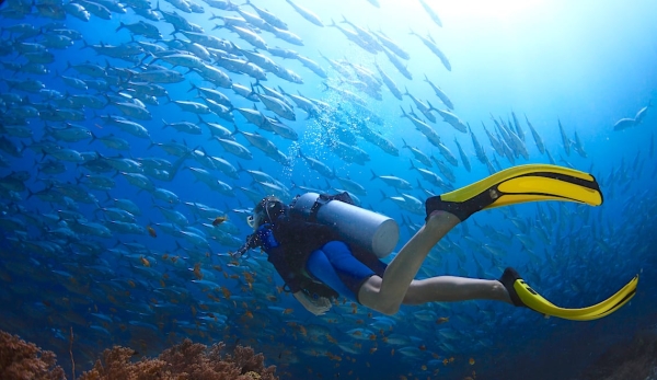 Scuba Diving in Pondicherry 2023